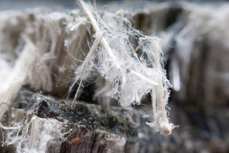 Asbestos Management