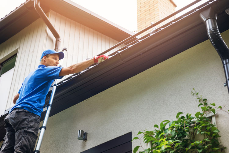 Gutter Cleaning