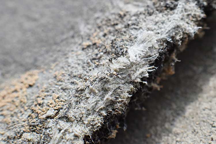Asbestos Abatement