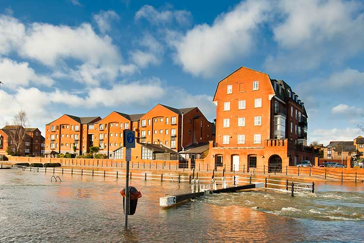 Flood and Water Damage Restoration