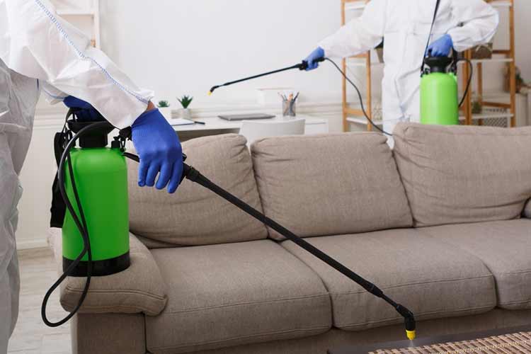 Home Coronavirus Disinfection Services