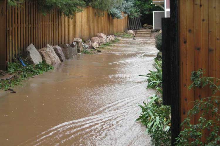 Natural Disaster Clean-Up