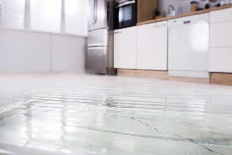 Flood and Water Damage Restoration