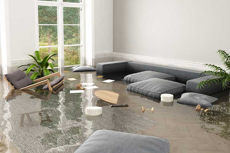 Residential Restoration